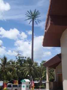 Watch out for the palm trees: Sometimes they are cellphone towers in disguise