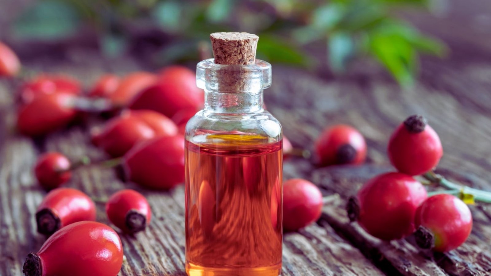 Rosehip Oil