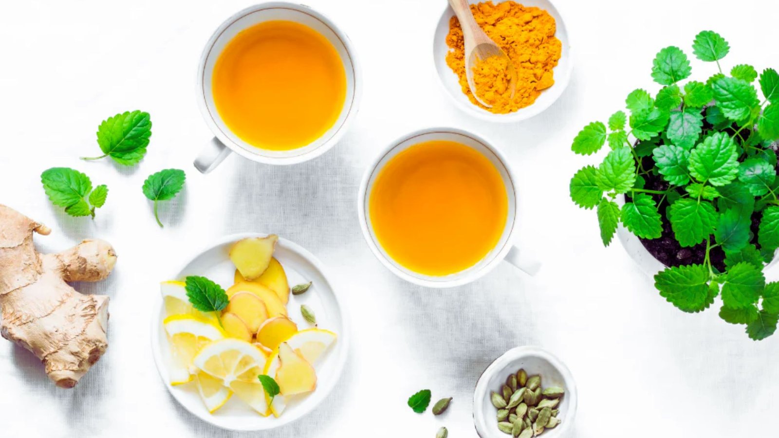 Anti-inflammatory Ingredients