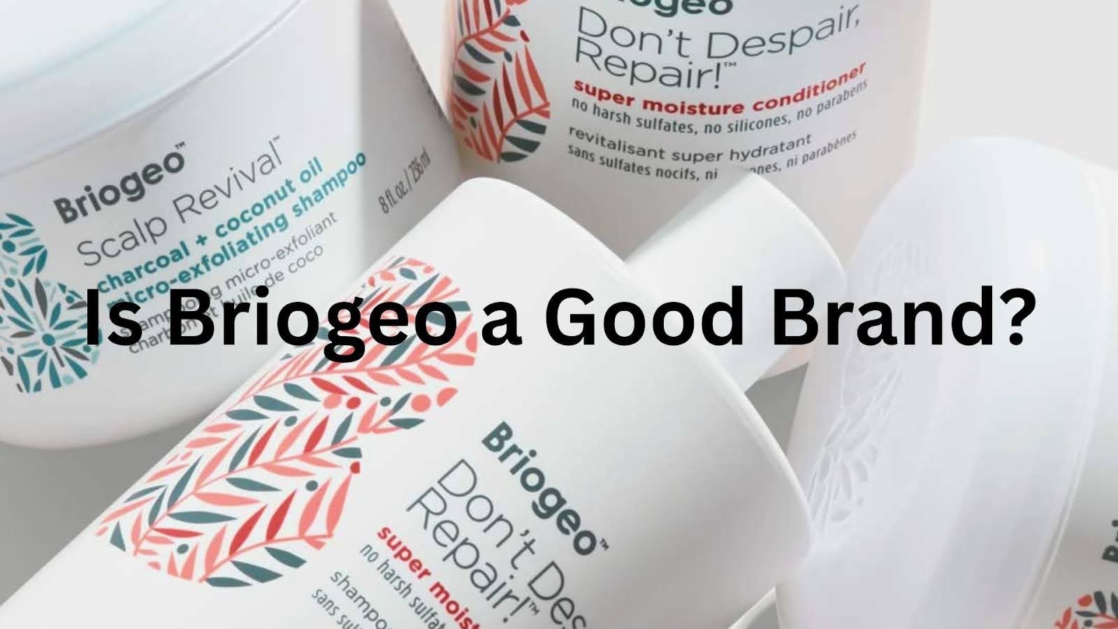 Briogeo a Good Brand