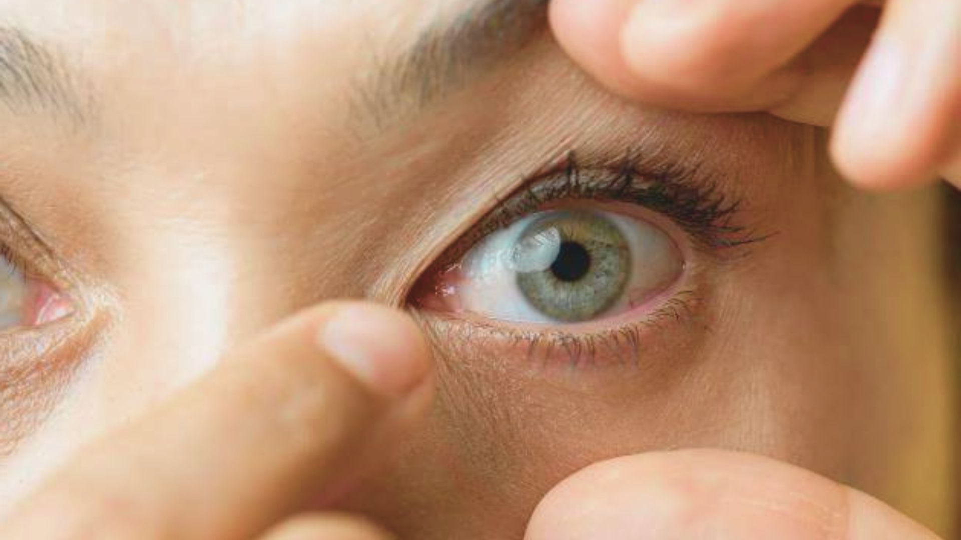 What Happens When You Sleep