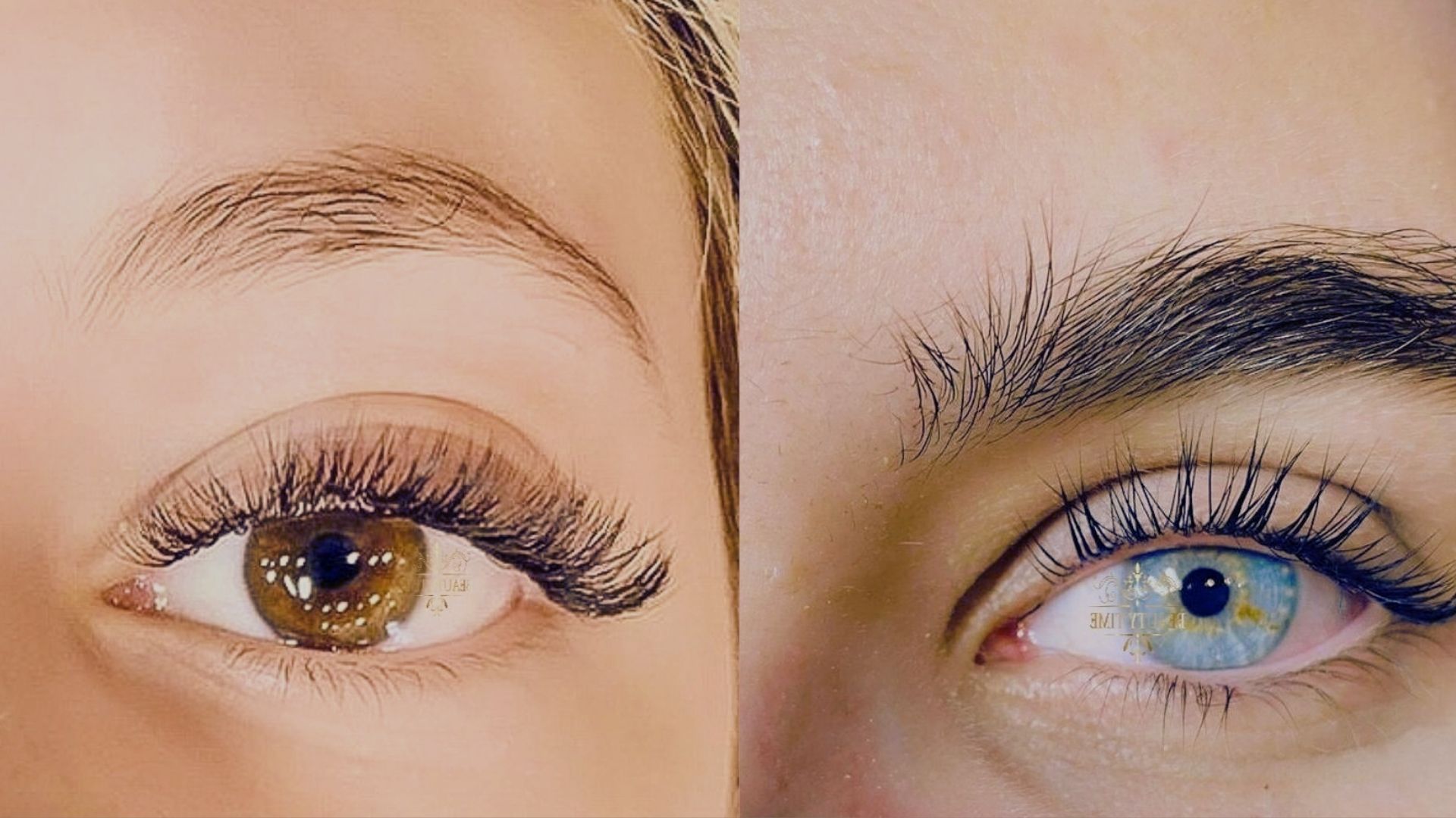 Lash Lift and Tint