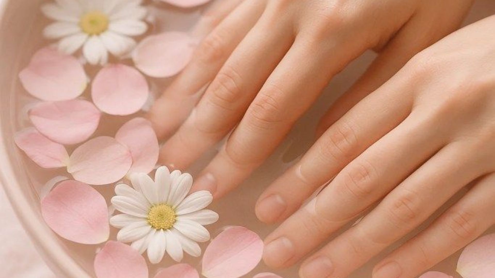 A woman's hands gently touch pink flowers in a bowl, showcasing a delicate and serene arrangement.