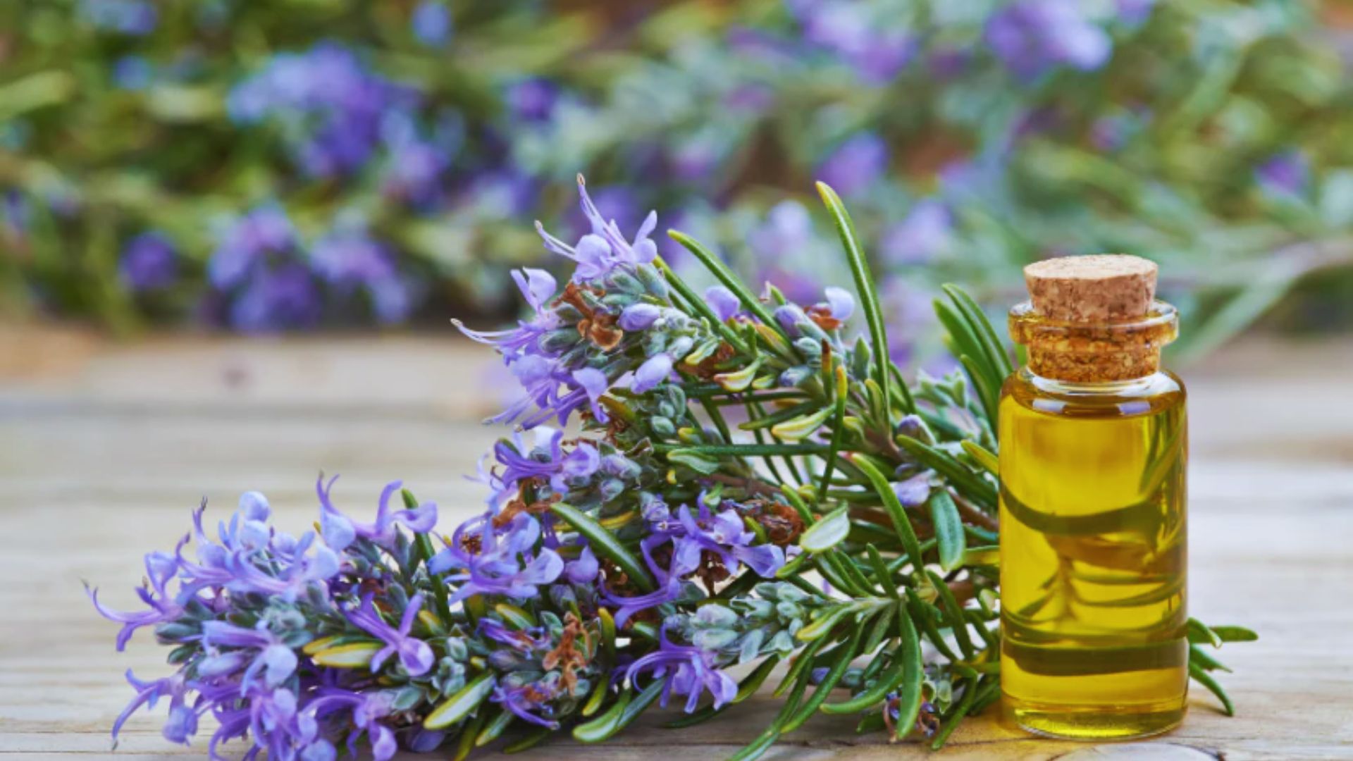 A small bottle of rosemary essential oil with a dark glass container and a dropper cap, surrounded by fresh rosemary sprigs.