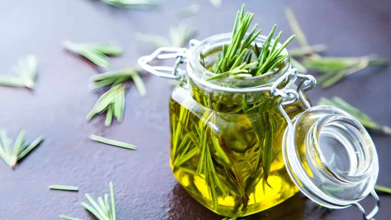 Rosemary Benefits for Hair