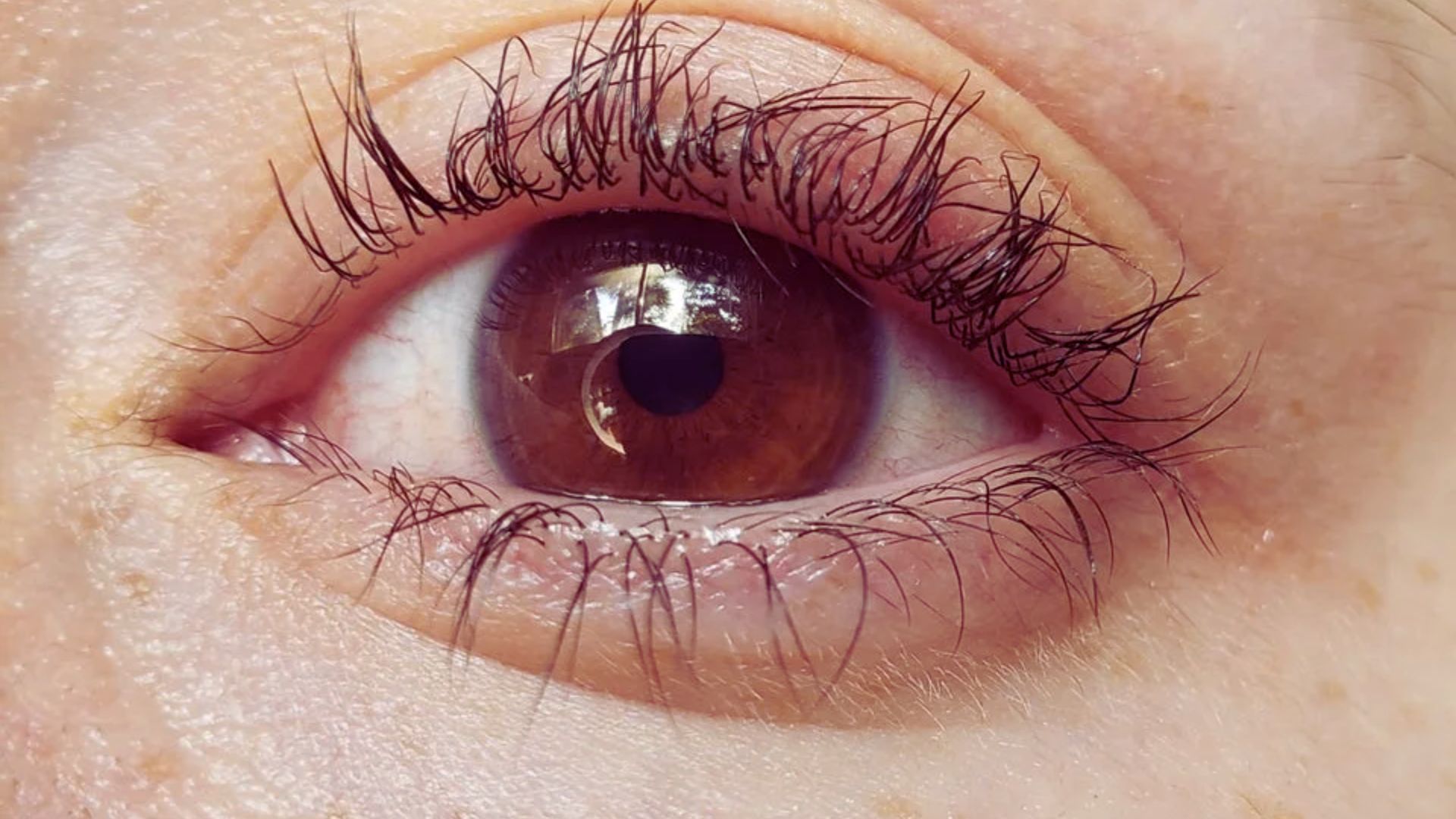 Close-up of a brown eye with long eyelashes. The image captures fine details of the eye's texture and eyelashes, conveying a sense of focus and clarity.