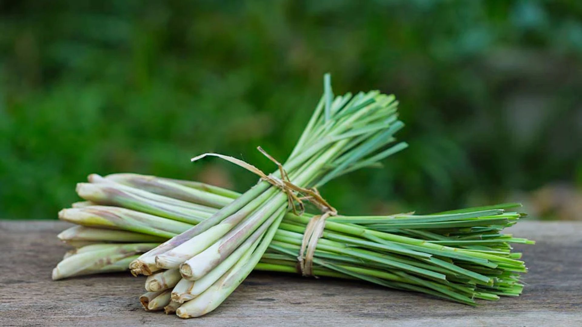A bundle of fresh lemongrass tied with twine rests on a wooden surface, set against a blurred green background, evoking a fresh and natural vibe.