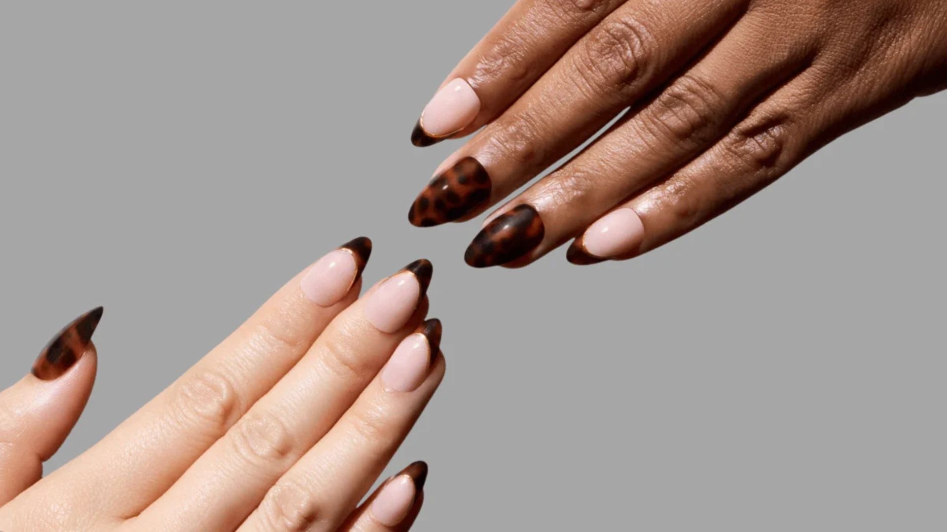 Two hands with almond-shaped nails against a gray background. Nails feature a tortoiseshell pattern near the tips, creating a stylish and elegant look.