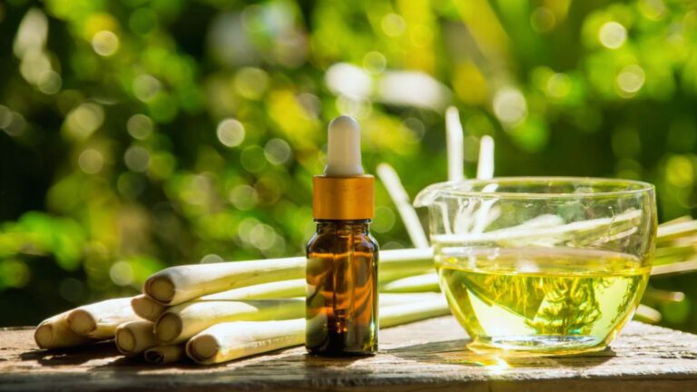 A small amber dropper bottle, fresh lemongrass stalks, and a glass cup of lemongrass oil are on a wooden surface with a lush green garden in the background.