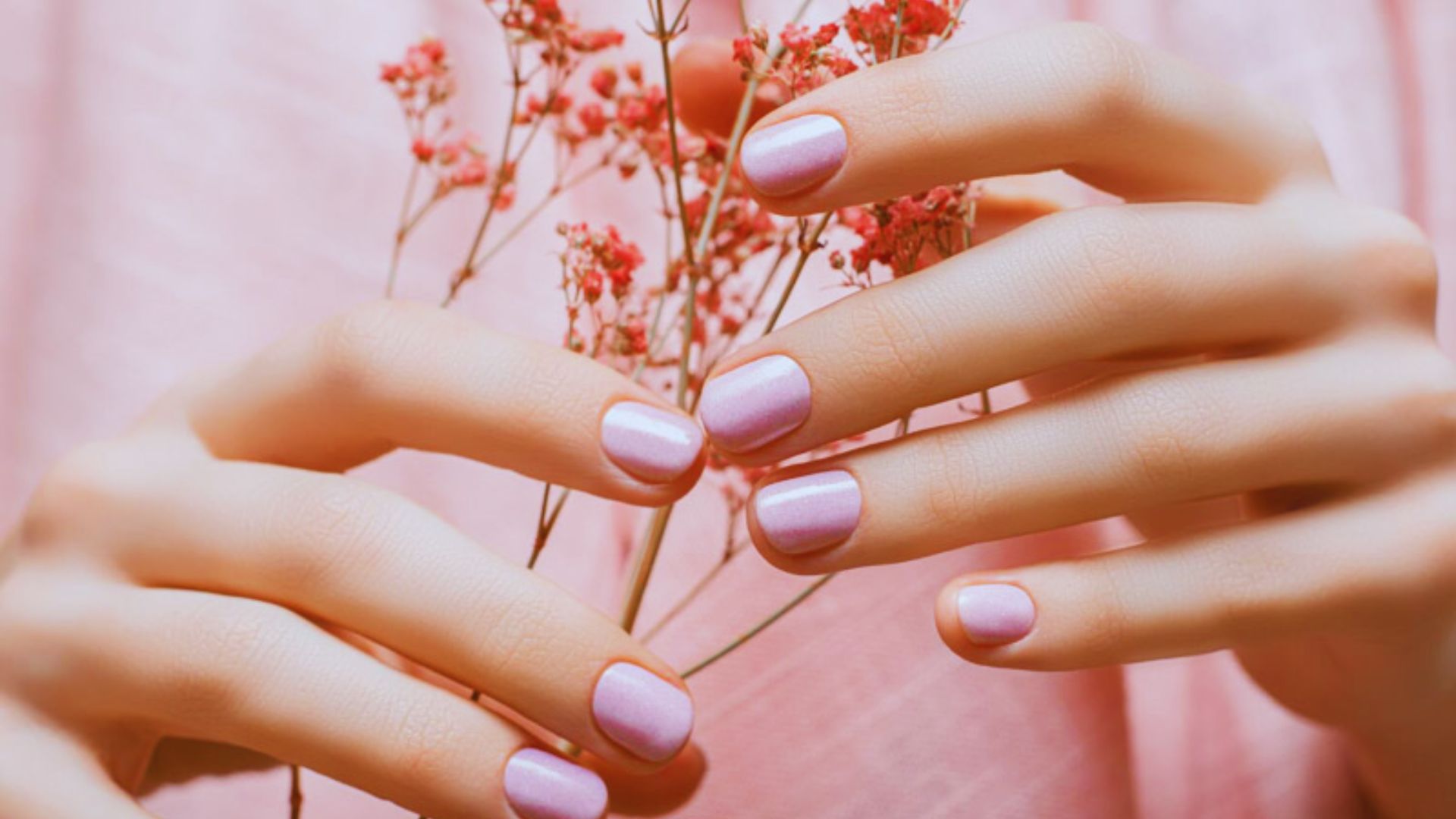 Close-up of hands with pastel pink manicured nails gently holding delicate pink flowers against a matching pink background, conveying elegance and tranquility.