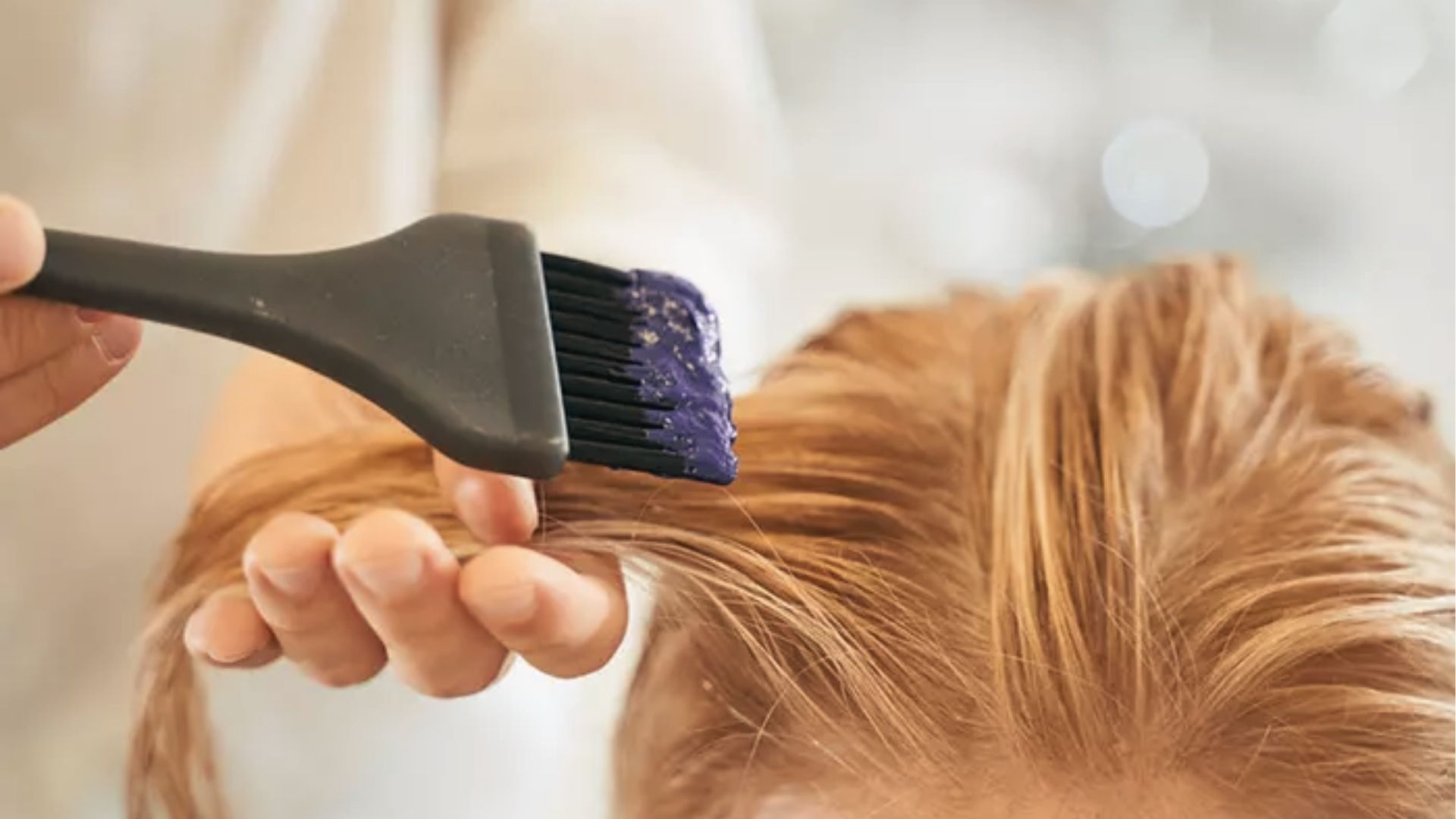 Purple dye applied to the hair section with a brush at the salon. Semi permanent color deposits without developer.