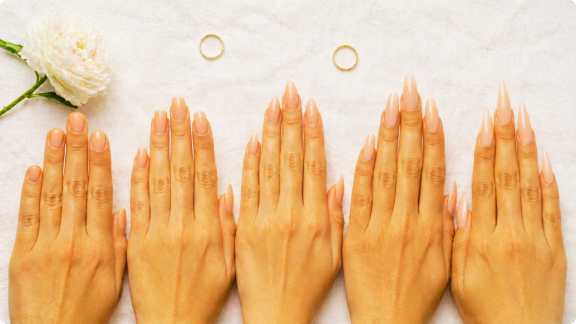 Five hands lined up on a white surface displaying nail shapes from short round to long stiletto.