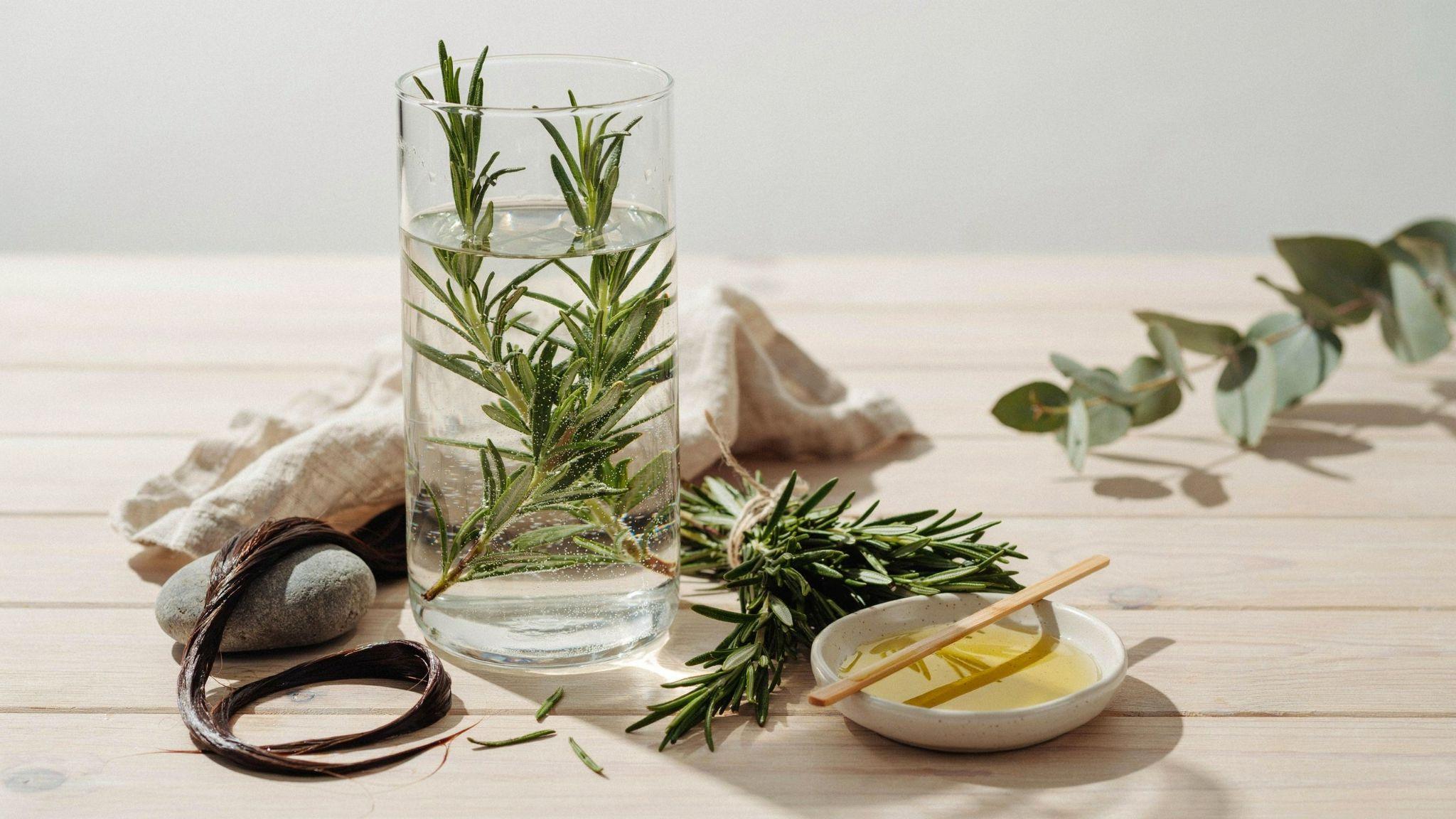 Fresh rosemary infused water prepared as a lightweight natural hair care treatment