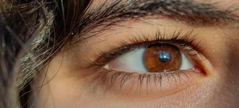 a brown eye of a woman
