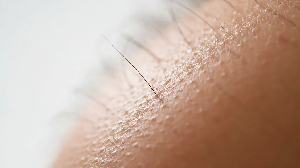 Quarter-inch hair growth ready for an effective Brazilian wax.