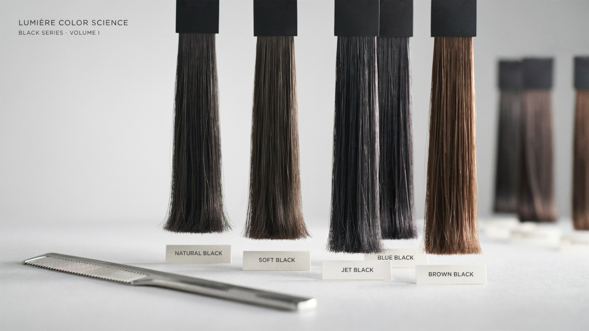 Hair color chart showing multiple natural and dyed black hair undertones in a gradient.