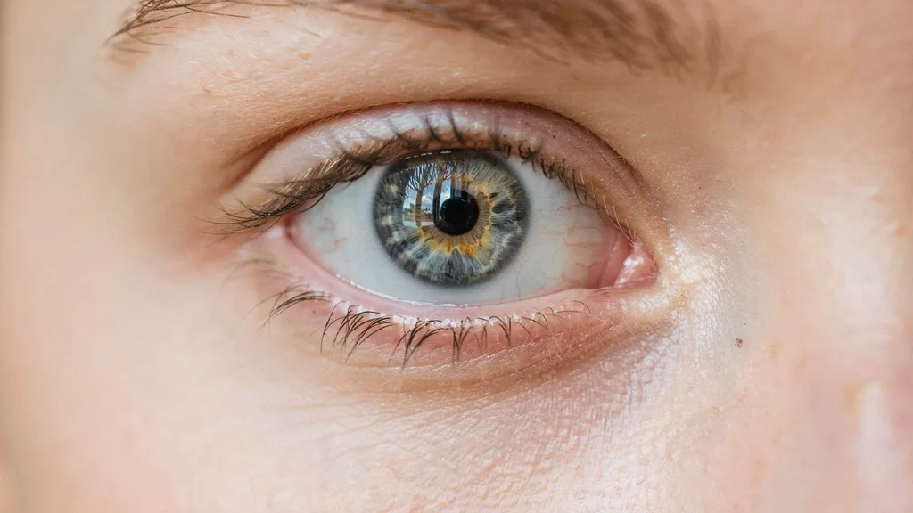 Natural lash line enhancement creating fuller-looking eyelashes.